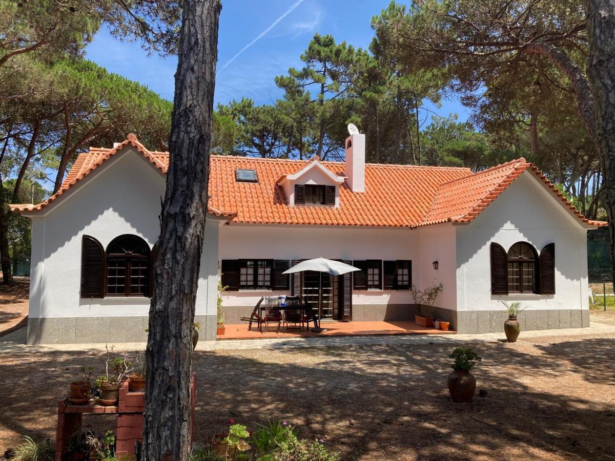 Moradia no Pinhal com Piscina - Espaço e Privacidade para as suas Férias! Sintra Exterior foto